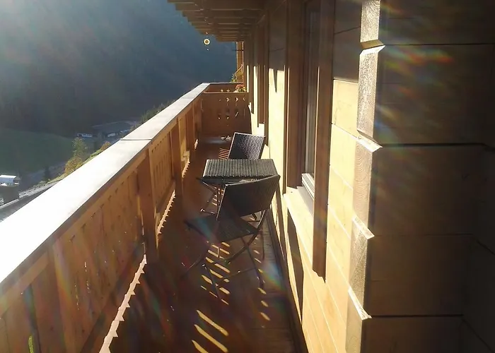 Haus Hinterstererhof ザールバッハ・ヒンターグレム