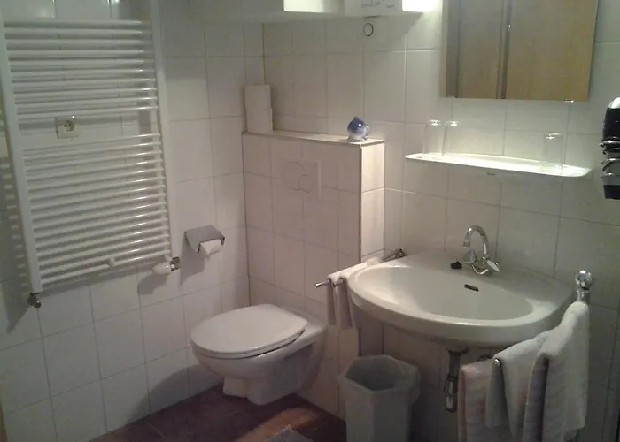 Haus Hinterstererhof アパート ザールバッハ・ヒンターグレム