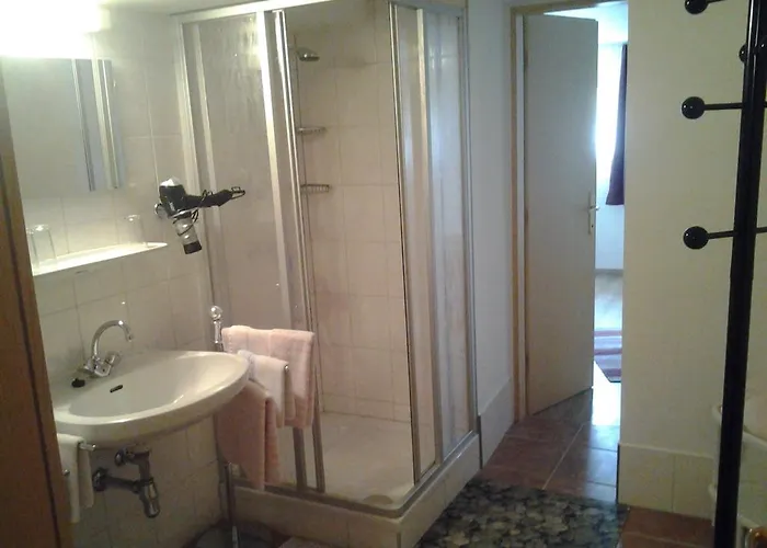 Haus Hinterstererhof アパート