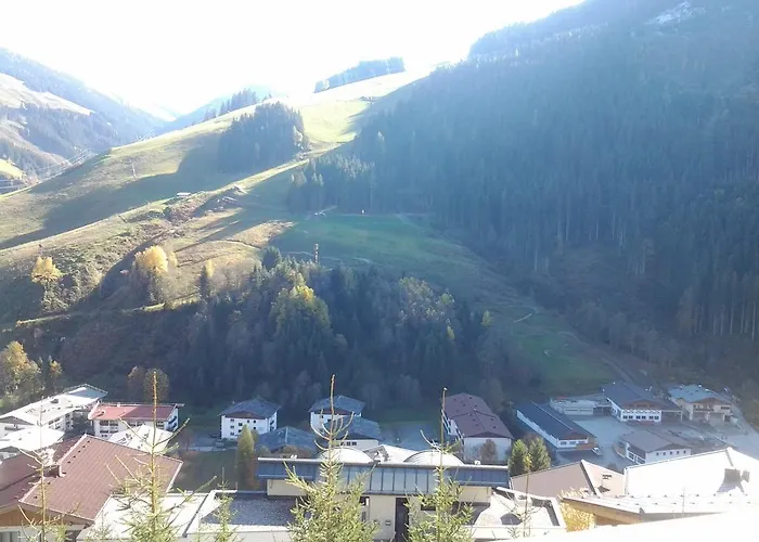 Haus Hinterstererhof ザールバッハ・ヒンターグレム